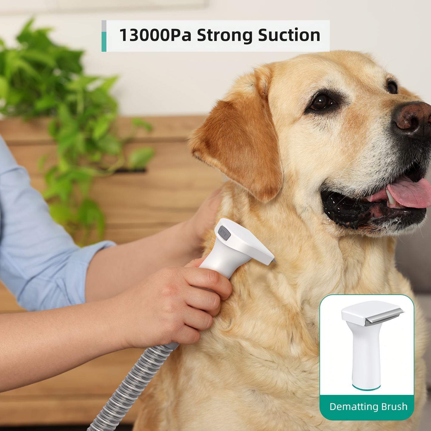 All-in-1 Pet Grooming Vacuum - 17-Piece Kit for Mess-Free Hair & Nail Care at Home, Low Noise for Dogs/Cats